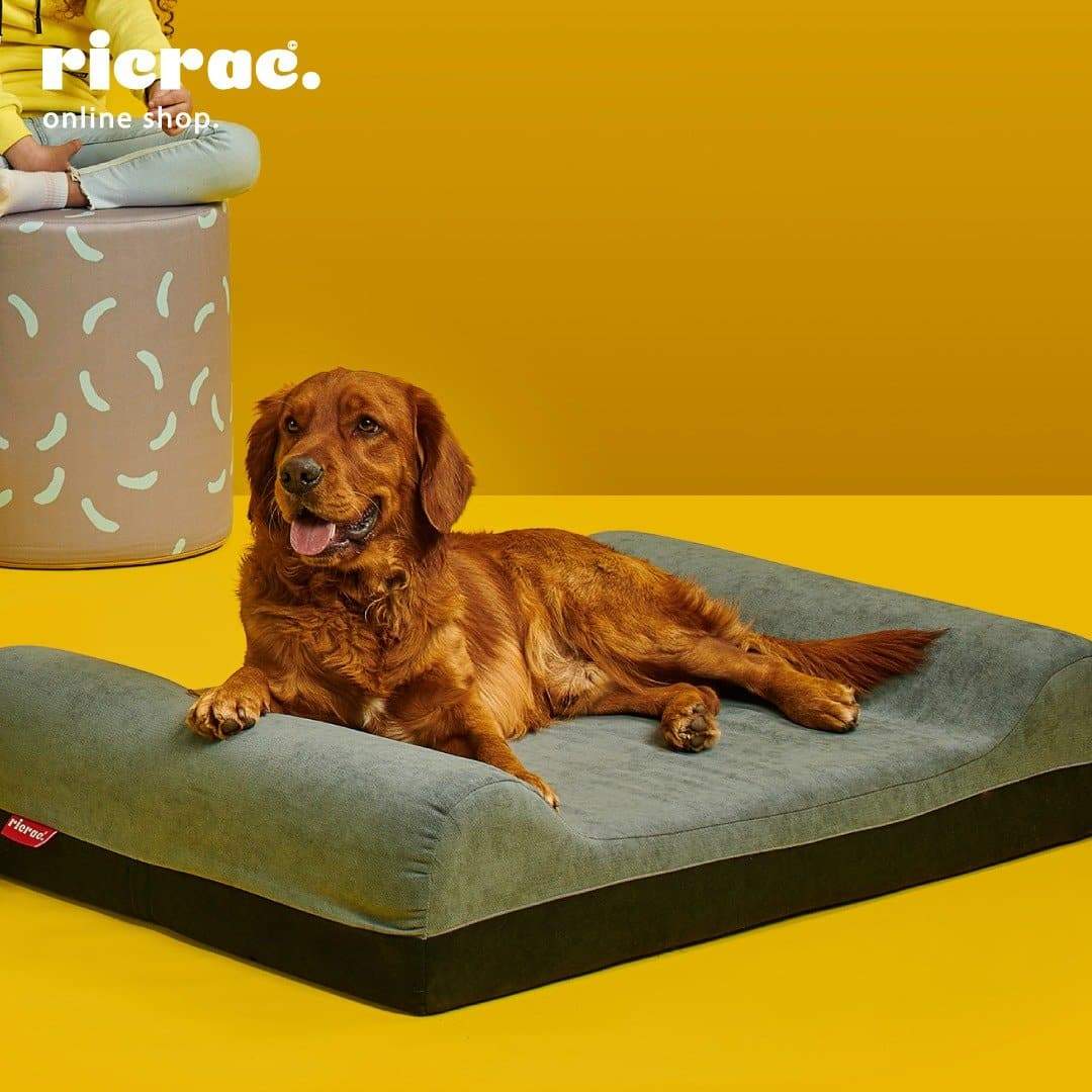 Memory Foam Bully Proof Dog Beds PETFUSION Ultimate Lounge Memory