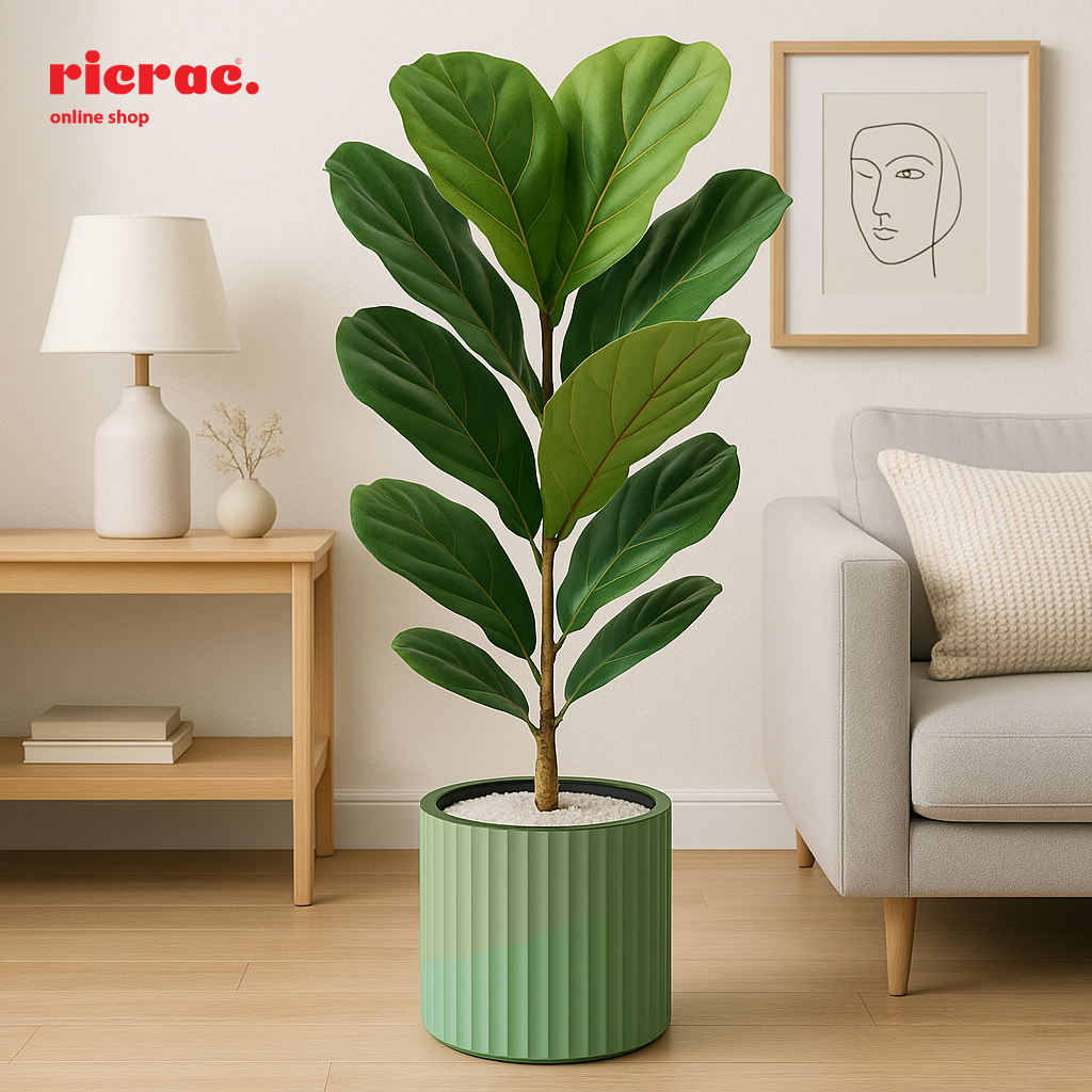 Rivo Fiberglass Pot with decorative plant in modern living room setting