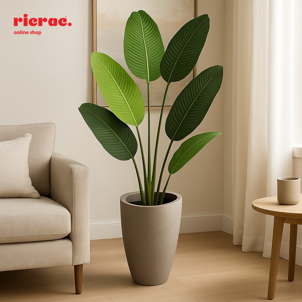 Revera- Fiberglass Pot with tall, tapered design showcasing large green leaves in a modern living room setting.