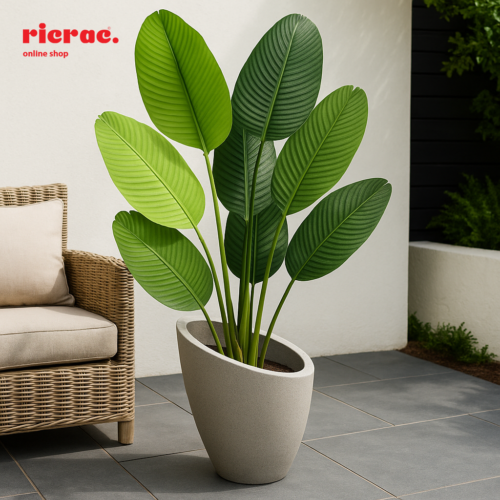 Revera- Fiberglass Pot with large green leaves, perfect for modern decor in entryways or terraces.