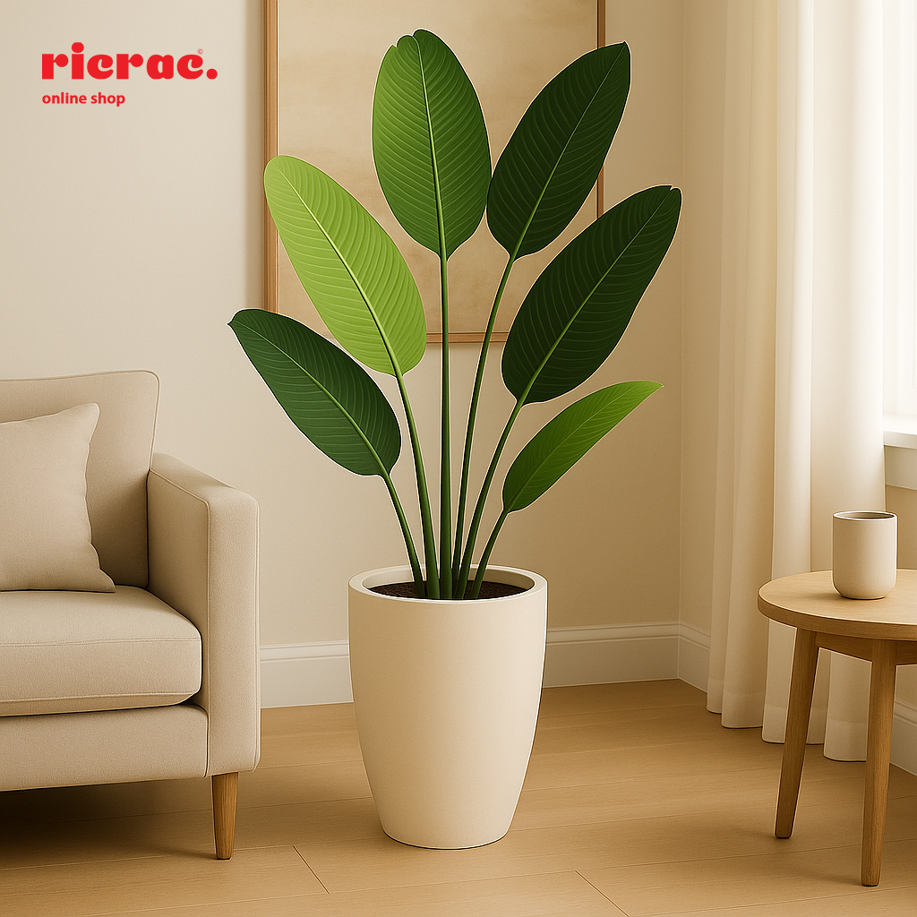 Revera- Fiberglass Pot with tall, tapered design and green leaves in modern interior setting.