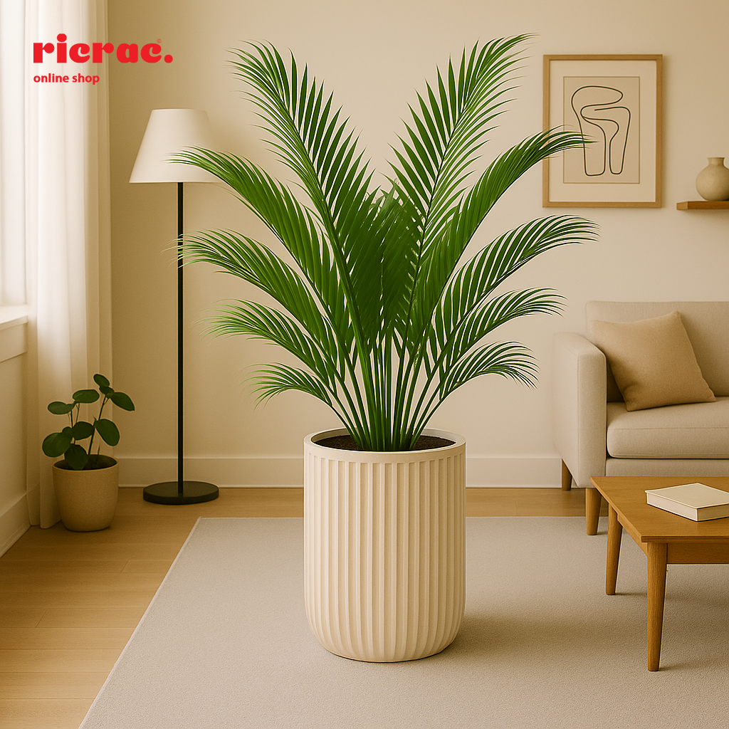 Ritano Fiberglass pot displayed indoors with a palm plant, showcasing clean fluted ridges and elegance.