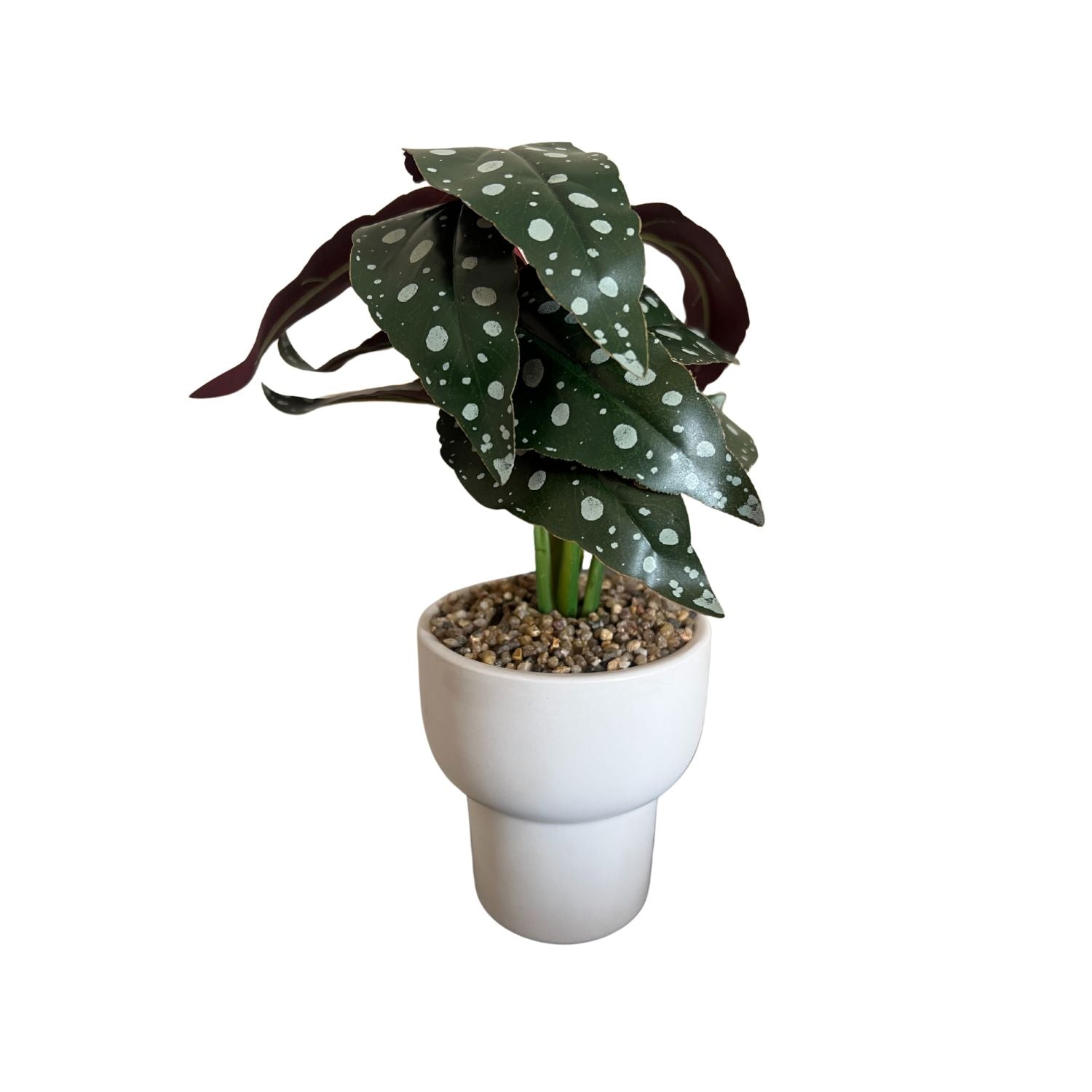 Stylish Randoola Greenery Pot with decorative plant and pebbles, perfect for enhancing small spaces.