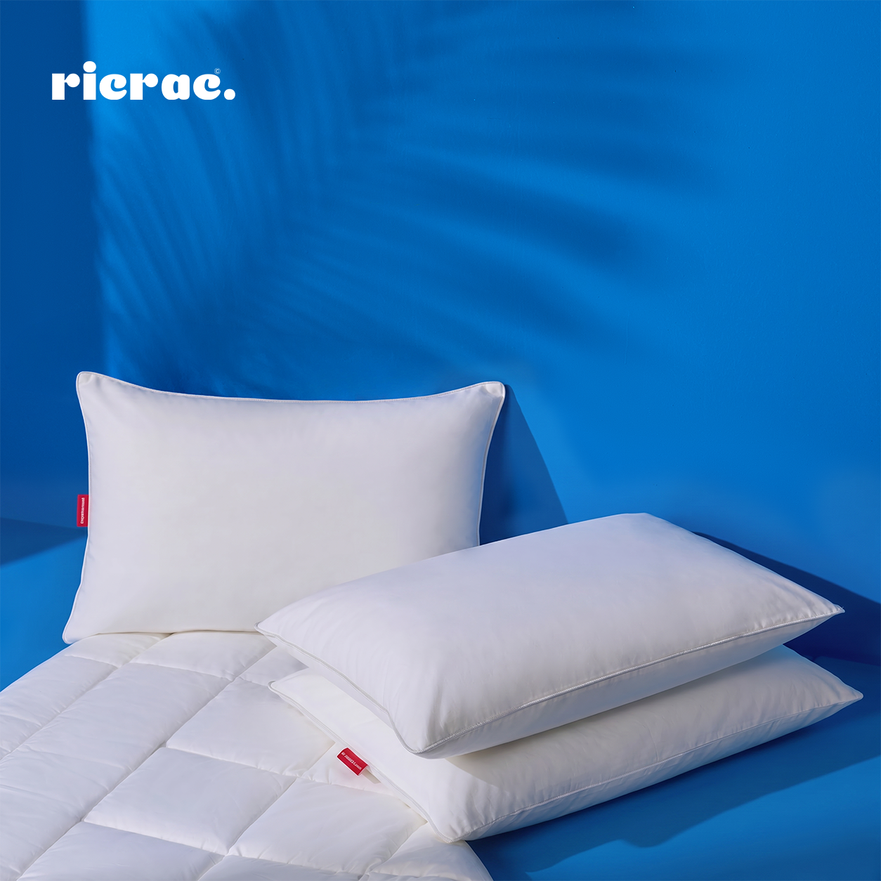 Luxurious Plain Hotel Pillow