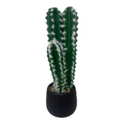 Mini decorative plant pots featuring a cactus in a stylish black pot, perfect for small spaces.