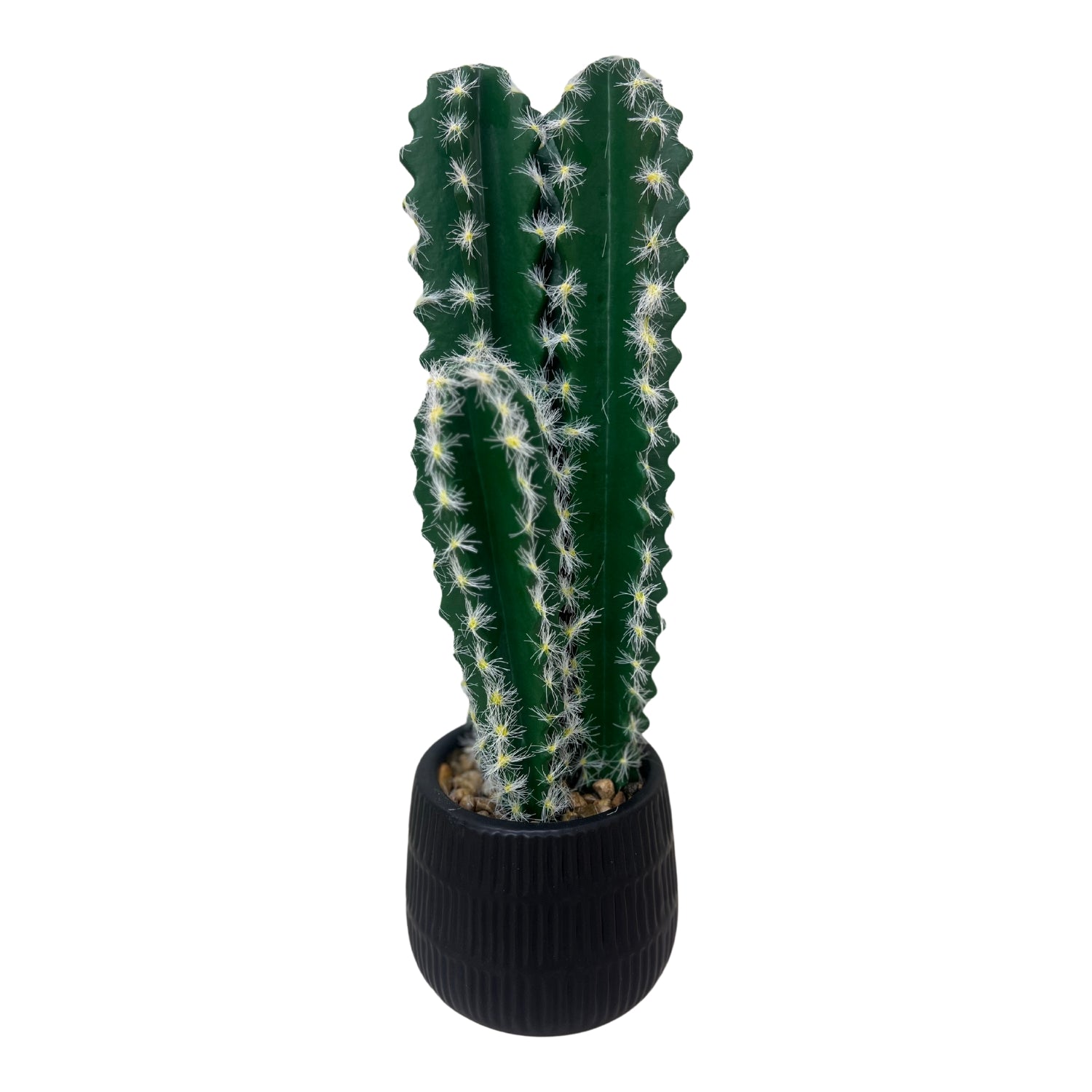 Mini decorative plant pots featuring a cactus in a stylish black pot, perfect for small spaces.