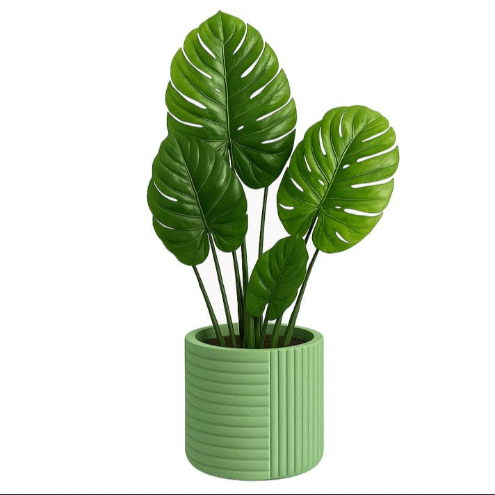 Ravelli Fiberglass Pot with vibrant monstera leaves in a modern ribbed design, adding botanical energy to any space.