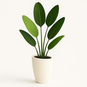 Revera- Fiberglass Pot showcasing a tall, tapered design with vibrant green leaves for modern decor.