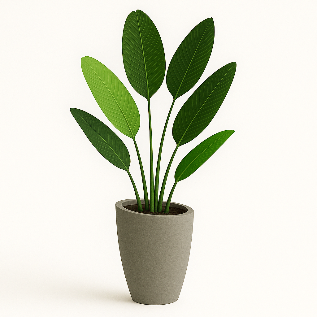 Revera- Fiberglass Pot featuring tall, tapered design with lush green leaves for elegant home decor.