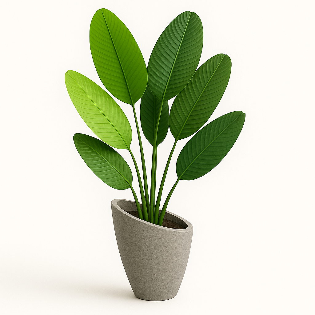 Revera- Fiberglass Pot showcasing lush green leaves in a modern, tapered design, ideal for enhancing any space.