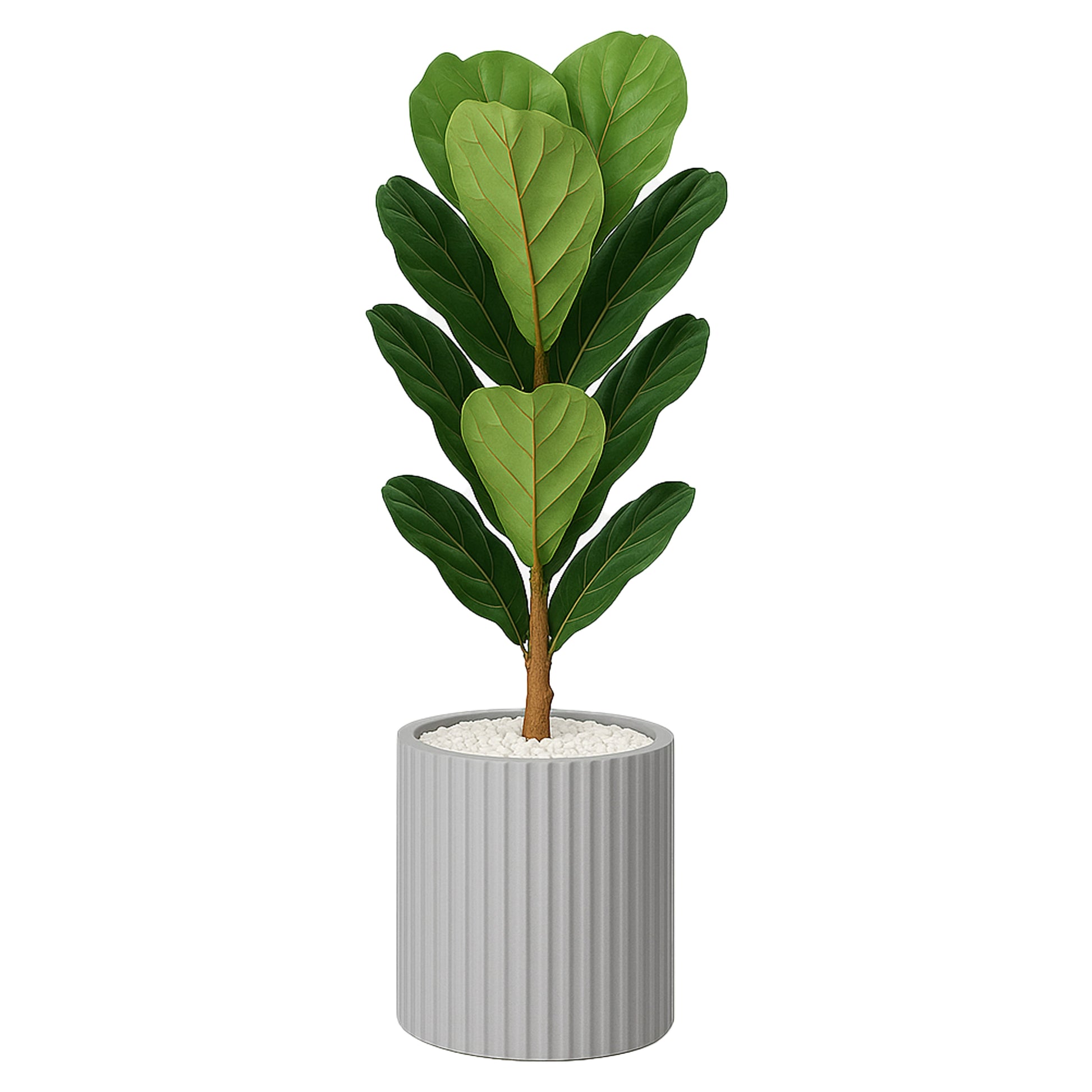 Rivo Fiberglass Pot showcasing a tall, tapered design with a sleek angled rim, perfect for showcasing ornamental plants.