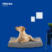 Rectangular Soft foam Mattress - Reefy