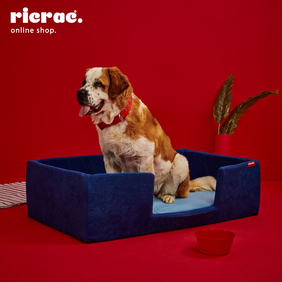 Rino- Rectangular Bed for dogs and cats