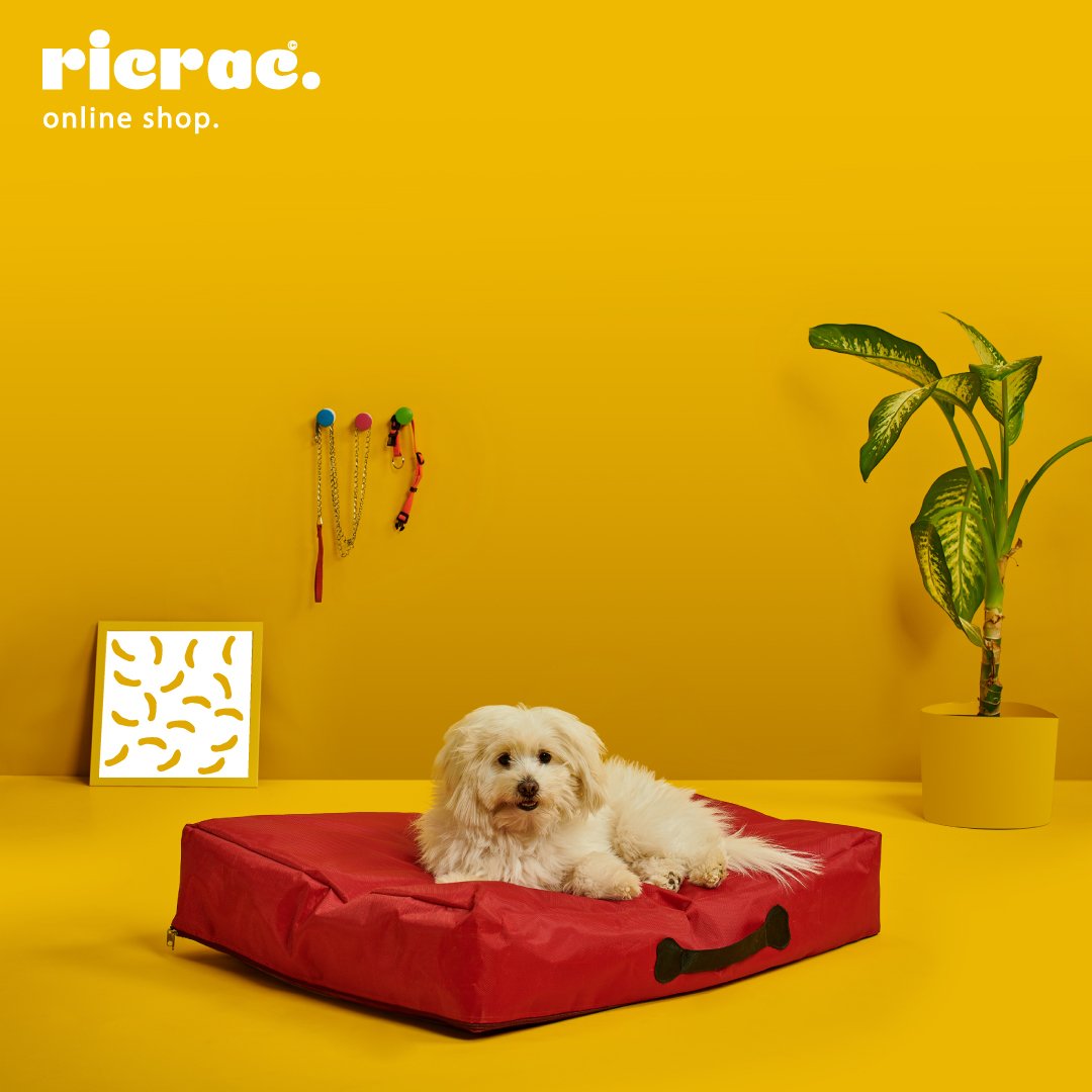 Raty Waterproof Durable & Lightweight Pets Bed